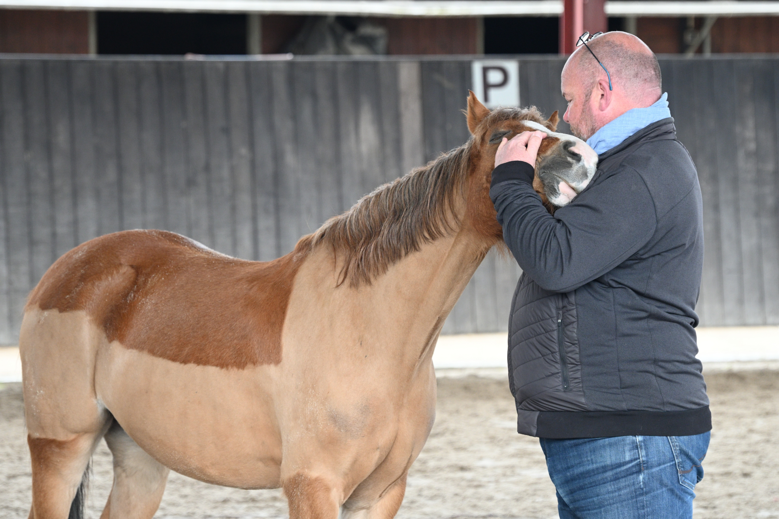 Notre pédagogie est fondée sur une alternance de phases théoriques, de mises en situation avec les chevaux et de partage d’expérience afin de favoriser un ancrage des nouveaux savoir- être dans la durée.